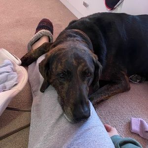 Meet your Posher, Kelly